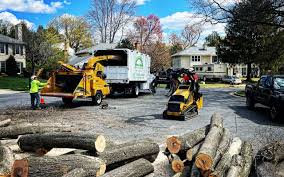 Best Artificial Turf Installation  in Chester, NY