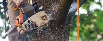 Soil Testing and Treatment in Chester, NY