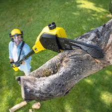 Lawn Watering Services in Chester, NY