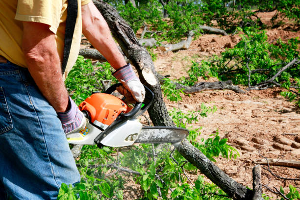 Best Grass Overseeding  in Chester, NY